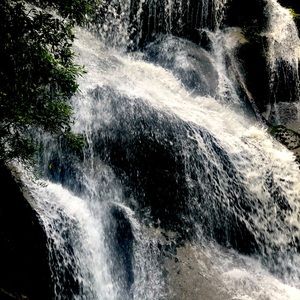 Meet your Posher, Nargis